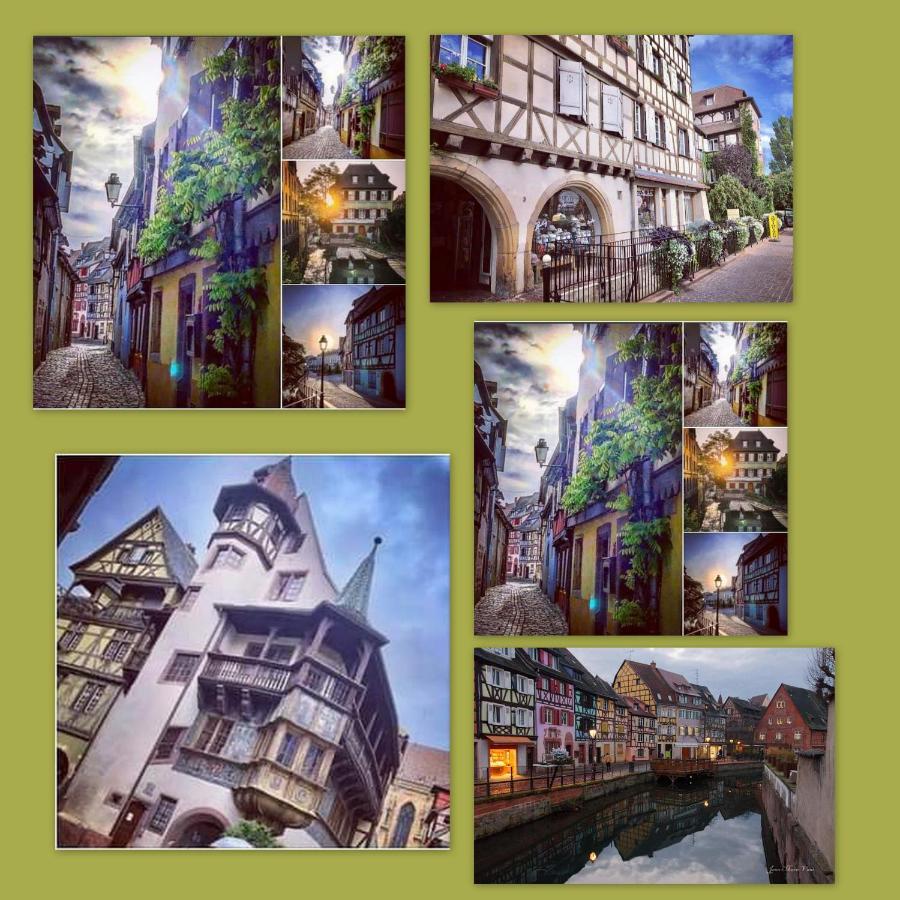 N¨°1 Schongauer Gite De Charme Centre Touristique Colmar Exteriör bild